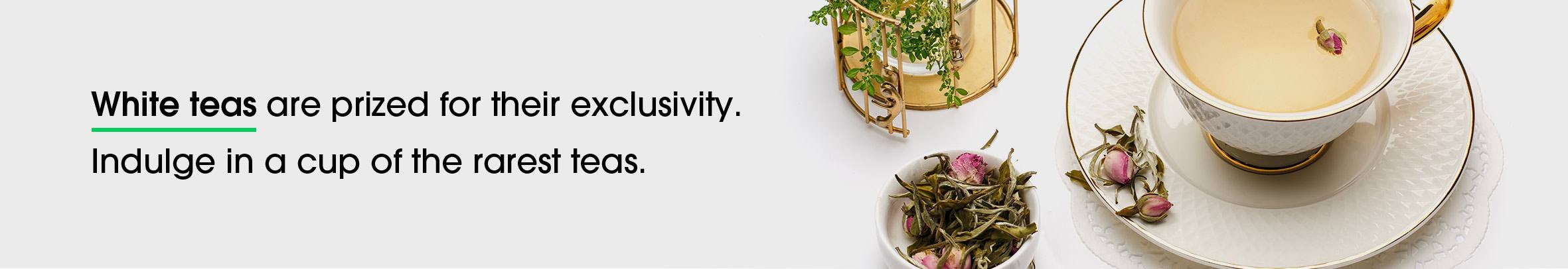 White Tea: Buy Best Loose Leaf White Tea Online in US|TeaPacs - Teabox